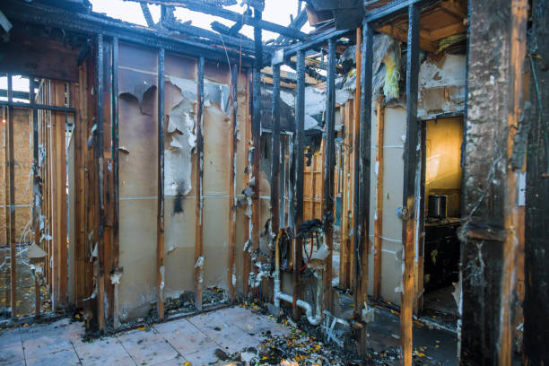 Professional Smoke Odor Removal technician working in Victoria, MN