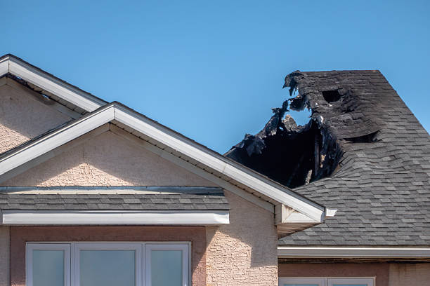 Top rated local Smoke Odor Removal specialists in Victoria, MN